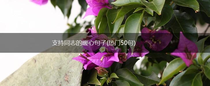 支持同志的暖心句子(热门50句),第1张