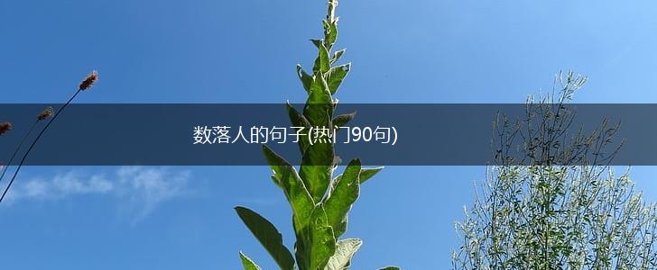 数落人的句子(热门90句),第1张