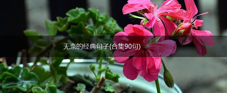 无奈的经典句子(合集90句),第1张