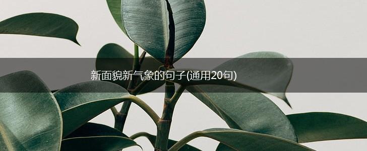 新面貌新气象的句子(通用20句),第1张