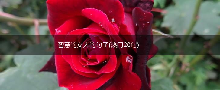 智慧的女人的句子(热门20句),第1张