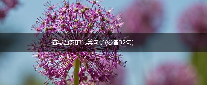 描写西安的优美句子(必备32句),第1张