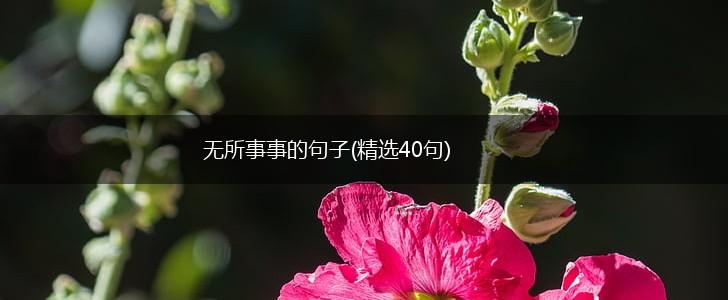 无所事事的句子(精选40句),第1张