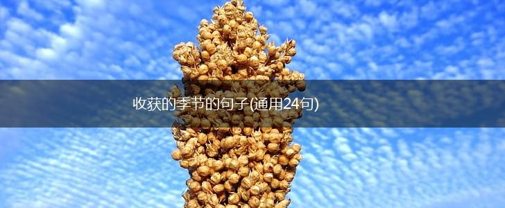 收获的季节的句子(通用24句),第1张