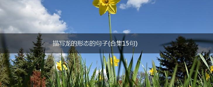 描写龙的形态的句子(合集15句),第1张 描写龙的形态的句子(合集15句),第1张