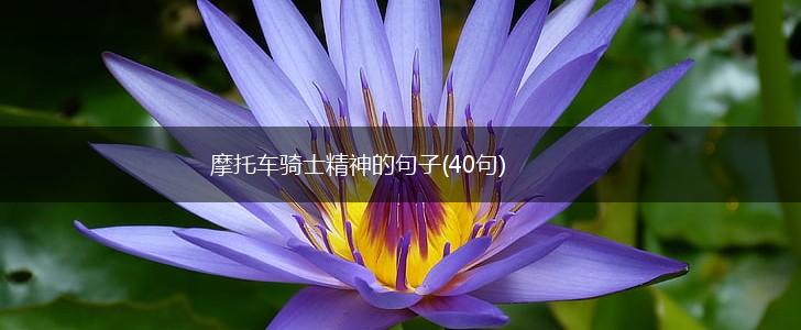 摩托车骑士精神的句子(40句),第1张