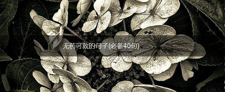 无药可救的句子(必备40句),第1张