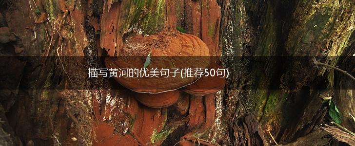 描写黄河的优美句子(推荐50句),第1张