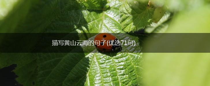 描写黄山云海的句子(优选71句),第1张