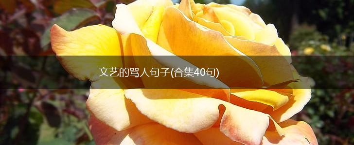 文艺的骂人句子(合集40句),第1张