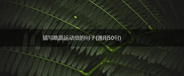 描写跳高运动员的句子(通用50句),第1张