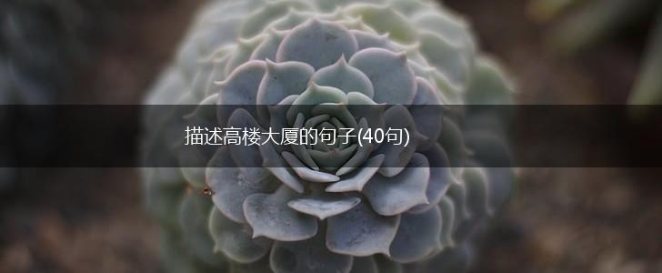 描述高楼大厦的句子(40句),第1张