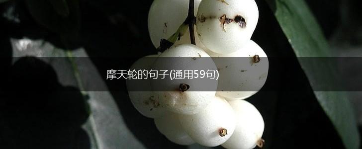 摩天轮的句子(通用59句),第1张