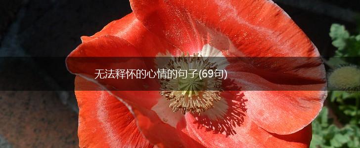 无法释怀的心情的句子(69句),第1张