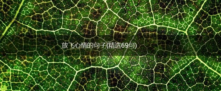 放飞心情的句子(精选69句),第1张