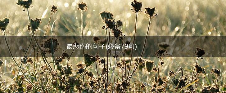 最悲伤的句子(必备79句),第1张