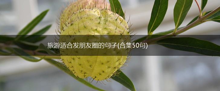 旅游适合发朋友圈的句子(合集50句),第1张