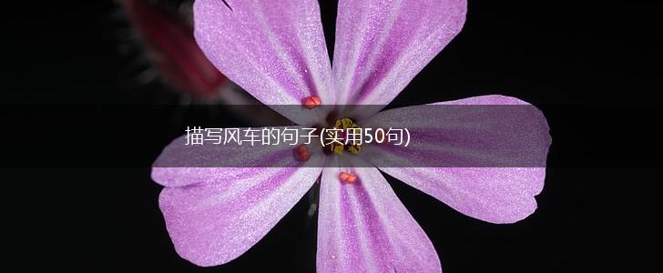 描写风车的句子(实用50句),第1张