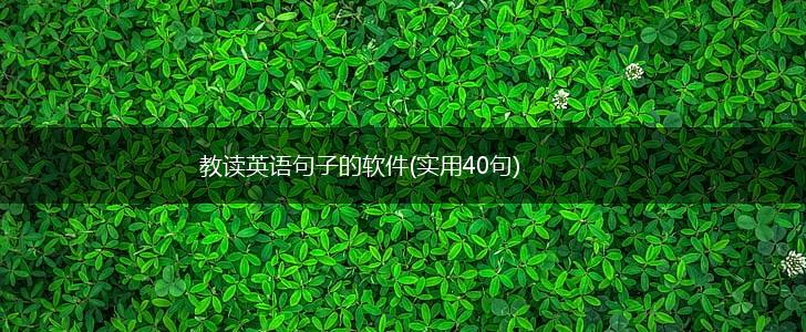 教读英语句子的软件(实用40句),第1张