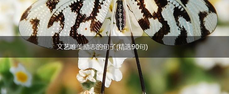 文艺唯美励志的句子(精选90句),第1张
