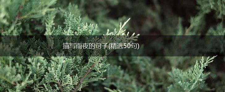 描写雨夜的句子(精选50句),第1张