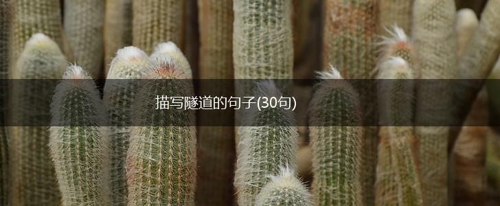 描写隧道的句子(30句),第1张