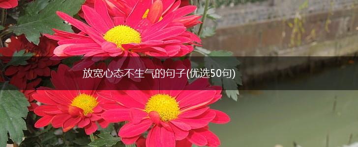 放宽心态不生气的句子(优选50句),第1张
