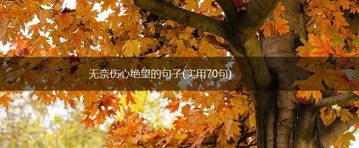 无奈伤心绝望的句子(实用70句),第1张