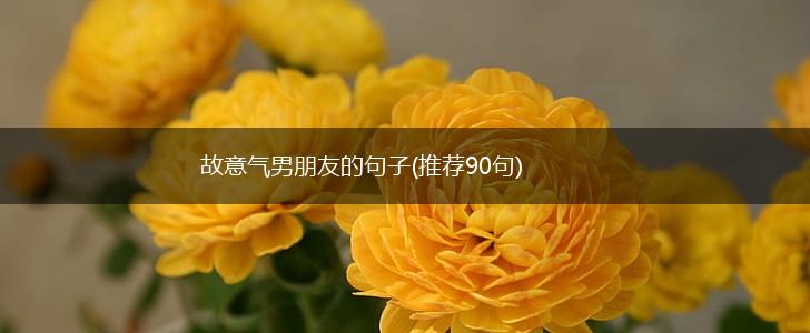 故意气男朋友的句子(推荐90句),第1张