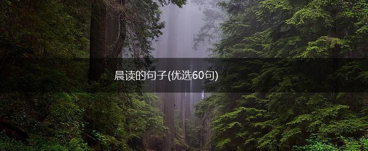 晨读的句子(优选60句),第1张