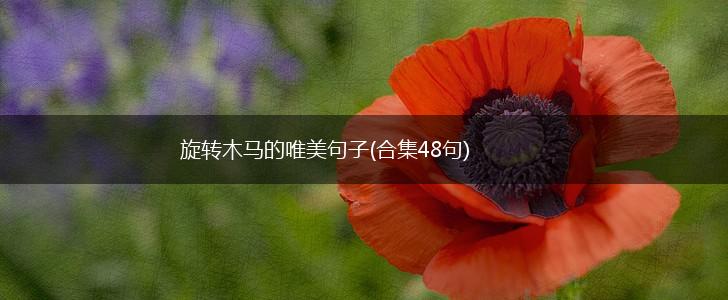 旋转木马的唯美句子(合集48句),第1张 旋转木马的唯美句子(合集48句),第1张