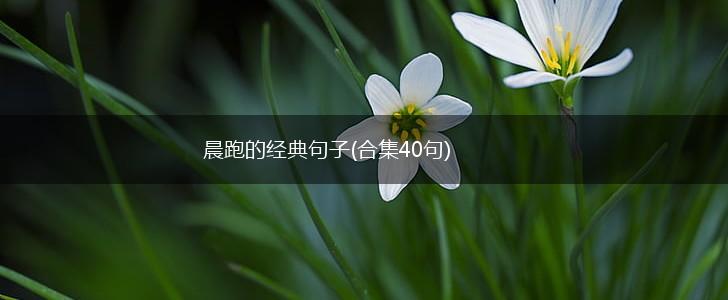 晨跑的经典句子(合集40句),第1张