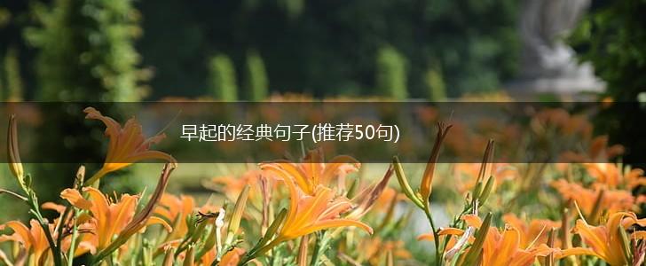 早起的经典句子(推荐50句),第1张