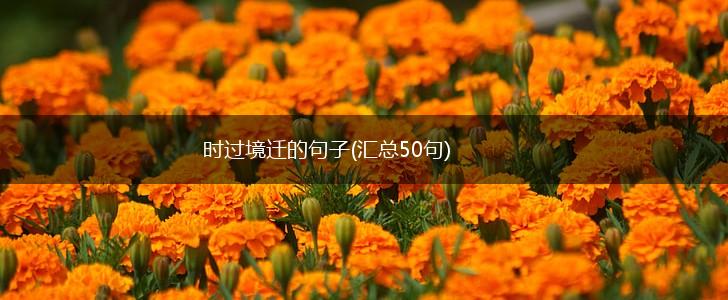 时过境迁的句子(汇总50句),第1张