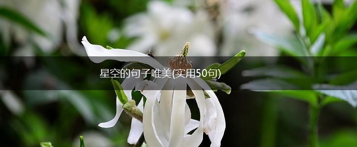 星空的句子唯美(实用50句),第1张