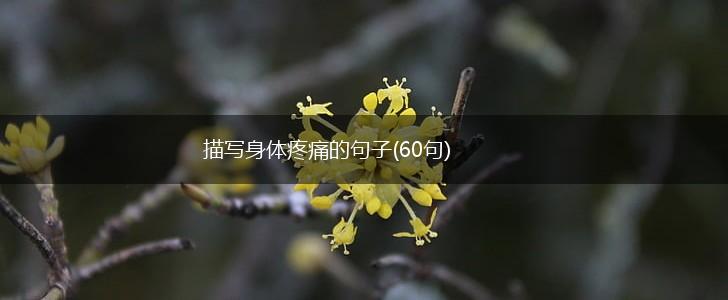 描写身体疼痛的句子(60句),第1张