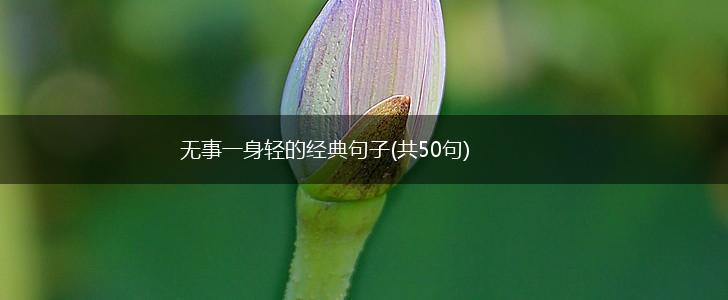 无事一身轻的经典句子(共50句),第1张