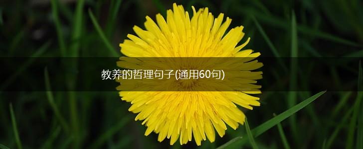 教养的哲理句子(通用60句),第1张