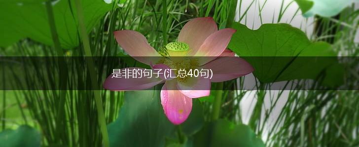 是非的句子(汇总40句),第1张