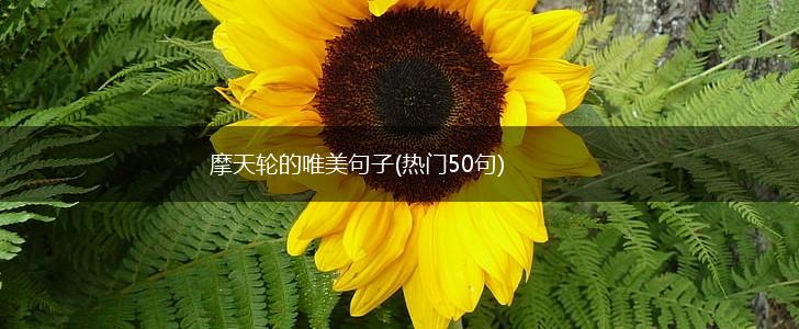 摩天轮的唯美句子(热门50句),第1张