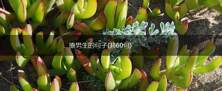 撩男生的句子(共60句),第1张 撩男生的句子(共60句),第1张