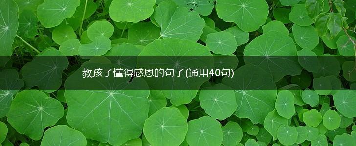 教孩子懂得感恩的句子(通用40句),第1张