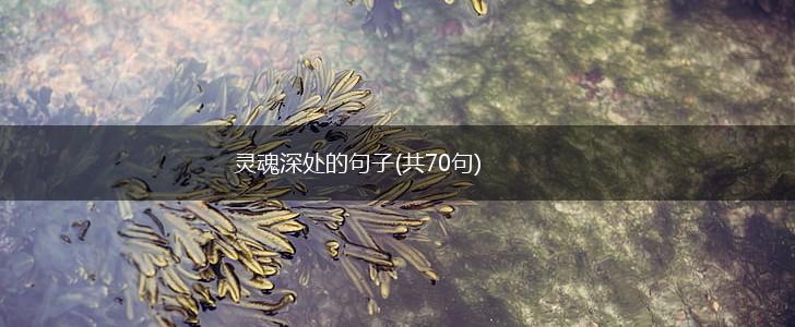 灵魂深处的句子(共70句),第1张