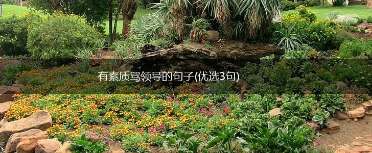 有素质骂领导的句子(优选3句),第1张