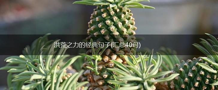 洪荒之力的经典句子(汇总40句),第1张