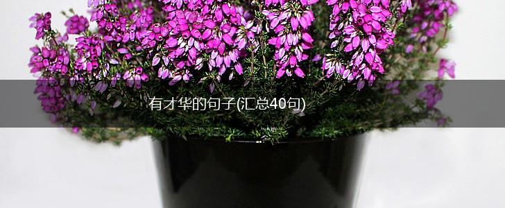 有才华的句子(汇总40句),第1张
