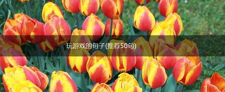 玩游戏的句子(推荐50句),第1张