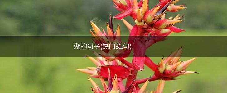 湖的句子(热门31句),第1张