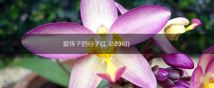 爱孩子的句子(汇总89句),第1张