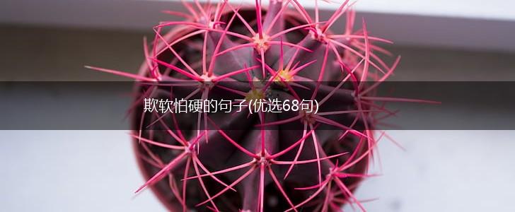 欺软怕硬的句子(优选68句),第1张